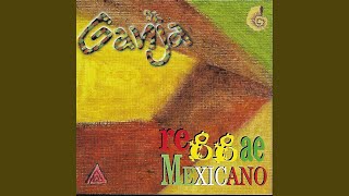 Guayo Music Video