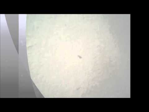 Slowbrothers-Saturday Night (Jack Mazzoni Vs Christopher Vitale Radio Edit)