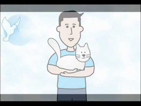 Cultura Da Paz video