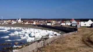 preview picture of video 'May 18, 2014 Bonavista Icebergs, Newfoundland.'