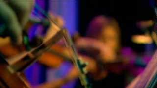 The Divine Comedy - Our mutual friend (14/19 Live @ The London Palladium)