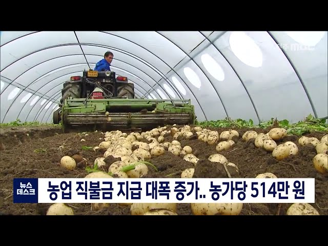 농업 직불금 지금 대폭 증가.. 농가 당 514만 원