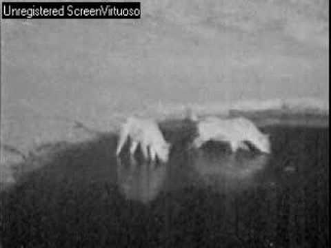 Hyenas Nkorho Pan 09/05/07 - 7