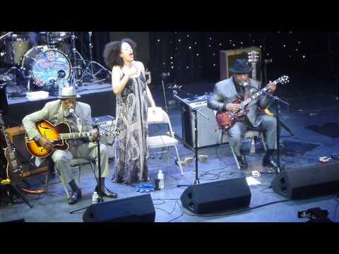 Heritage Blues Orchestra- C Line Woman- LRBC 24