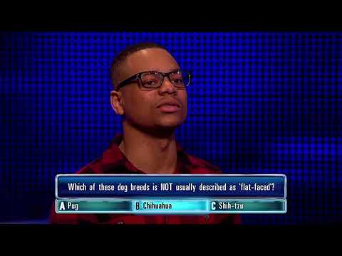 Ryan Gets His Dog Breeds Question Right