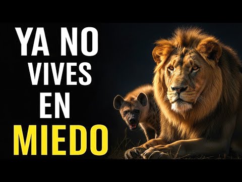 7 SEÑALES DE QUE YA NO VIVES EN MODO SUPERVIVENCIA CONSTANTE