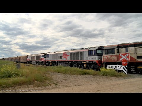 New Diesel Locomotive CSR013 On 7PM9 SCT Freight Train (9/11/2021) - PoathTV Australian Railways