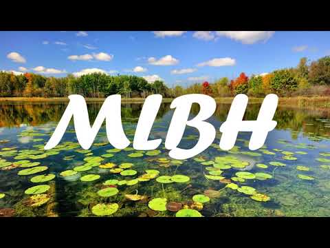 Dear Lelo ( stylez678 ) 2020