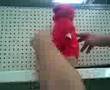 Tickle Me Elmo