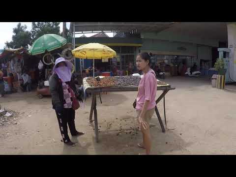 Amazing Selling​ Sun Dried Clams​ Road At Prek Tamak Bridge​