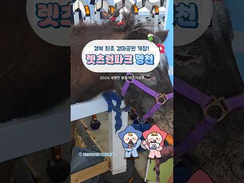 [2026새영천알림이단✨] 경북 최초이자 국내 4번째 경마공원! 렛츠런파크 영천 개장