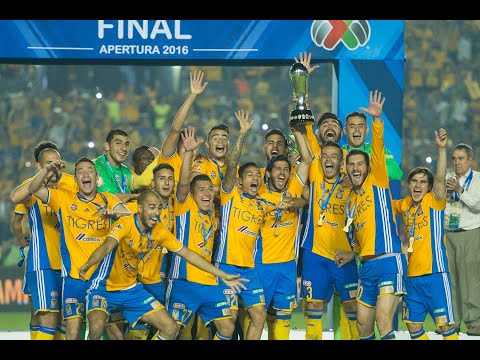 Todos los goles de Tigres en el Apertura 2016