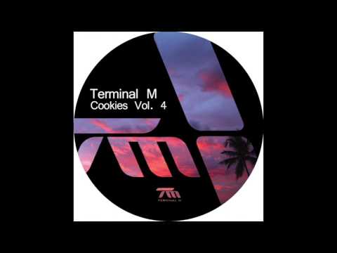 Mladen Tomic - Riffs - Terminal M