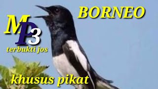 Download lagu SUARA KHUSUS  PIKAT BURUNG KACER II Kalimantan tengah mp3