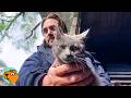 Man Rescued A Kitten Off The Streets Now She S The Boss Cuddle Buddies