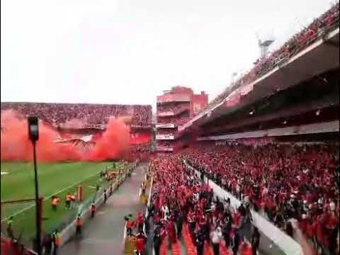 "rojo yo te persigo" Barra: La Barra del Rojo • Club: Independiente