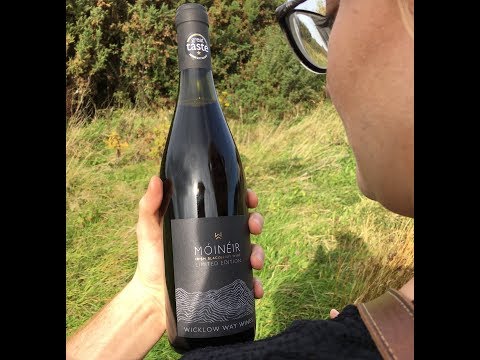 download lagu mp3 mp4 Wine Making Ireland, download lagu Wine Making Ireland gratis, unduh video klip Wine Making Ireland