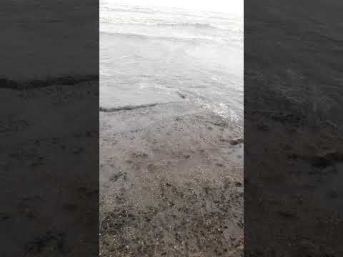 Alibag beach 💯🏖️