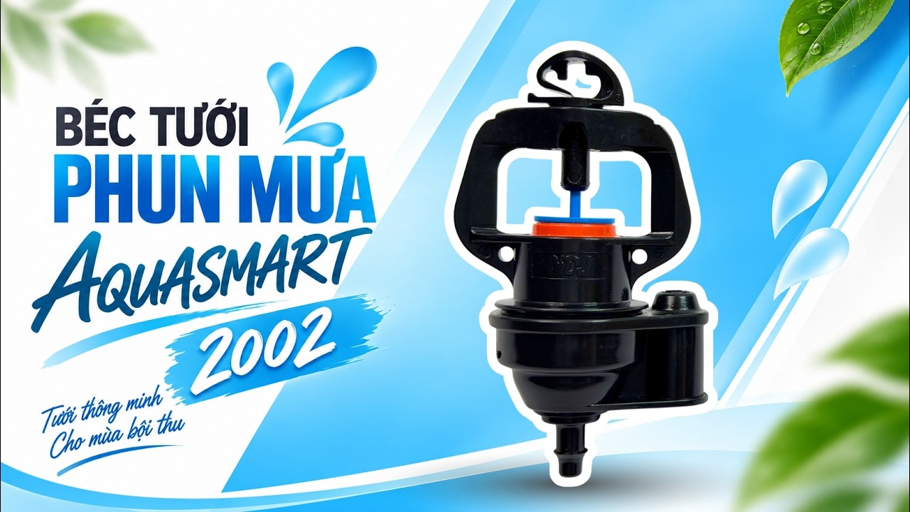 Điều gì giúp Aquasmart 2002 vẫn hoạt động sau chục năm?