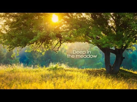 Deep in the meadow - Jennifer Lawrence