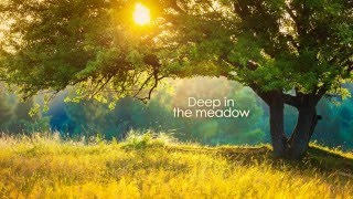 Deep in the meadow - Jennifer Lawrence