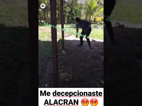 El Alacrán de la sierra agrede a mujer#shorts #viral#alacran