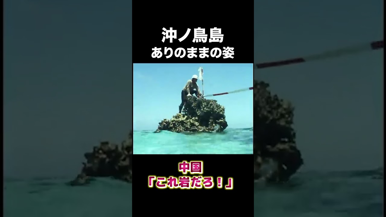 沖ノ鳥島のありのままの姿 #建設 #中国 #島紹介 #shorts