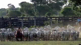 Miniatura do vídeo