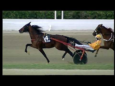 Napoli Trotto 15/10/2021 - 7ª corsa