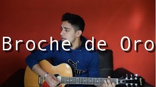 Broche De Oro / Edwin Luna y la Trakalosa de Monterrey / Cover / (Dan Meléndez)