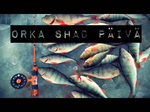 Pottu pilkkii 2019- päiväkooste- orka shadilla koko päivä