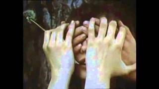 It's Always You by She & Him