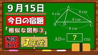 美しい別解求む！【数学】【解説あり】【毎日の習慣に】確実に力がつく良問｜【中学３年】相似な図形③