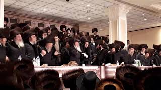 Download lagu krechnif rebbe wedding of grand daughter mp3