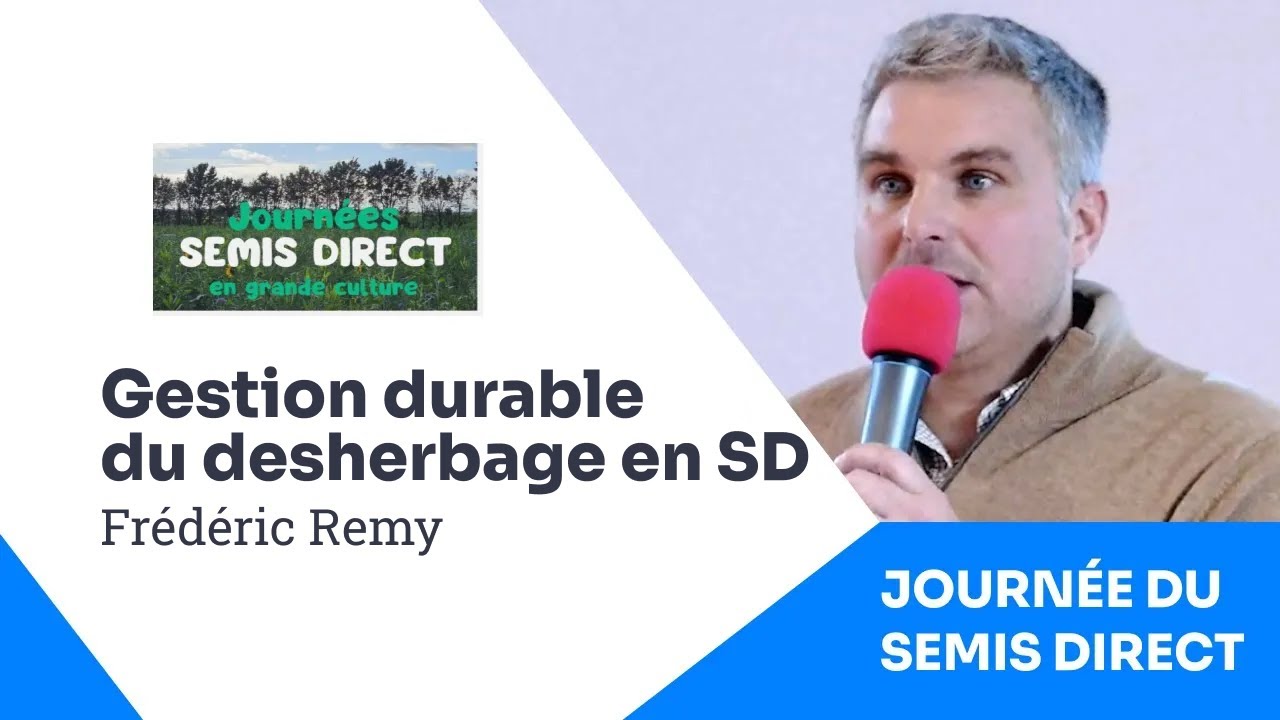 Gestion du ray-grass en semis direct : retour d'expérience de Frédéric Remy