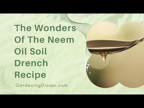 The Wonders Of The Neem Oil Soil Drench Recipe