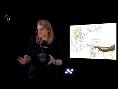 Sophie Van Meyel - Concours "Ma Thèse en 180 secondes"