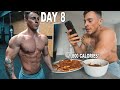 SHREDDED IN 14 DAYS | DAY 8 | 1,800 CALORIES | PHYSIQUE UPDATE