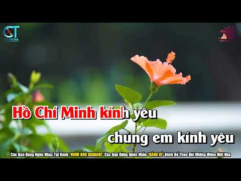 AI YÊU BÁC HỒ CHÍ MINH HƠN THIẾU NIÊN NHI ĐỒNG