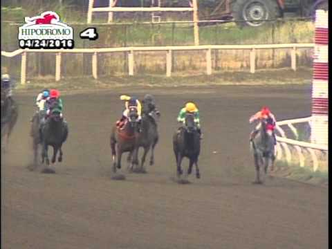 4TA CARRERA DEL DOMINGO 24 DE ABRIL DE 2016 HPR