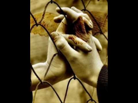 Bebalima wagema Besayama aithi Sandatai