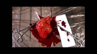 EXPERIMENT IN TERROR - Heart Ripped Out - Special FX