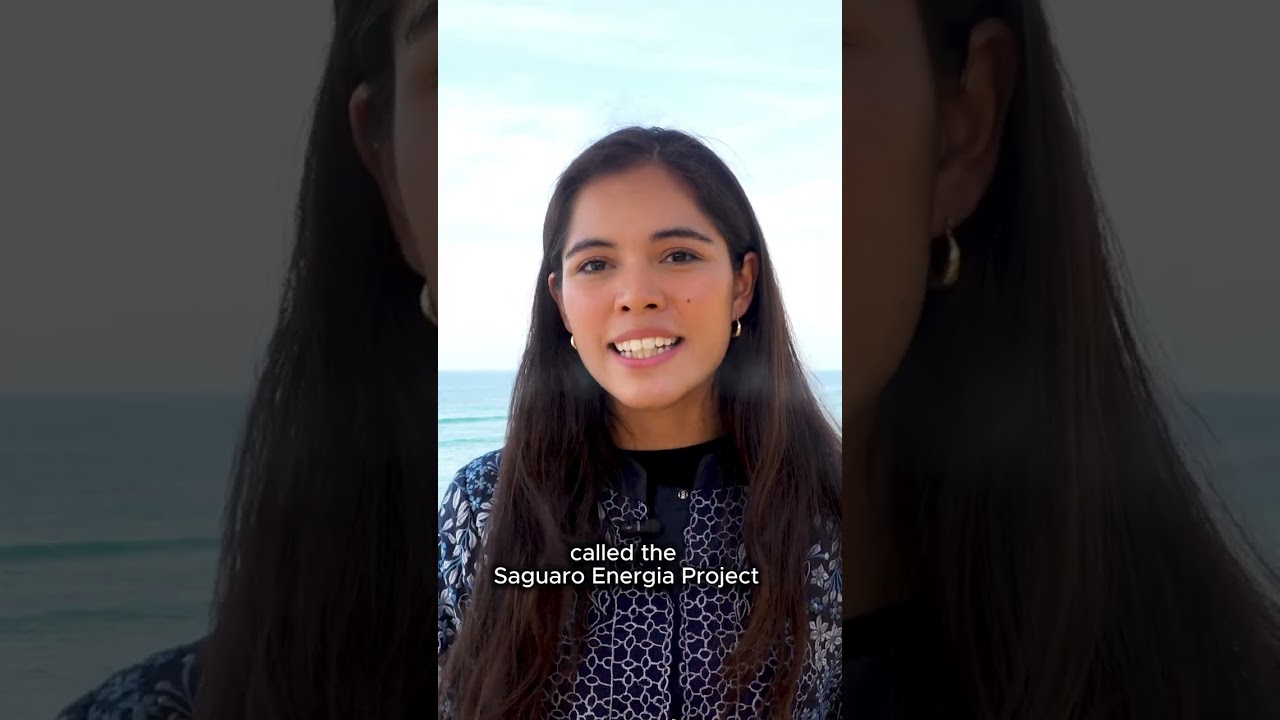 Massive gas projects threaten to destroy the Gulf of California forever.