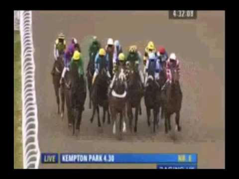 Honeymoon is Over Downs HORSE RACE!!