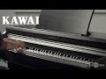 KAWAI KDP110 Digital Piano Demonstration