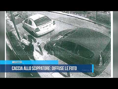 Molfetta | Caccia allo scippatore, diffuse le foto