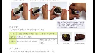 [초등과학 4-1 무료강의] 2. 지층과 화석 ④ 퇴적암은 어떤 과정을 거쳐 만들어질까요?