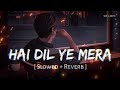 Hai Dil Ye Mera Slowed Reverb Arijit Singh Hate Story 2