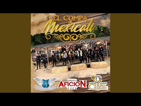 El Compa De Mexicali
