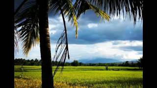 Say it now by We the kings